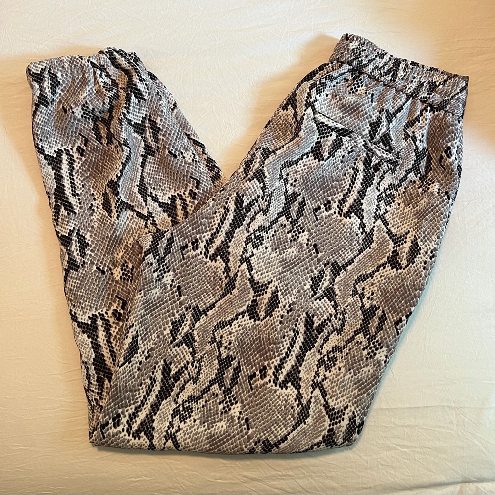 Express Python Print Pants